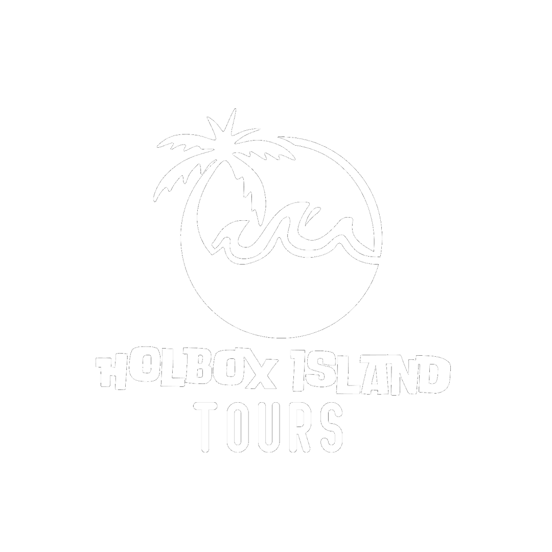 Holbox Island Tours