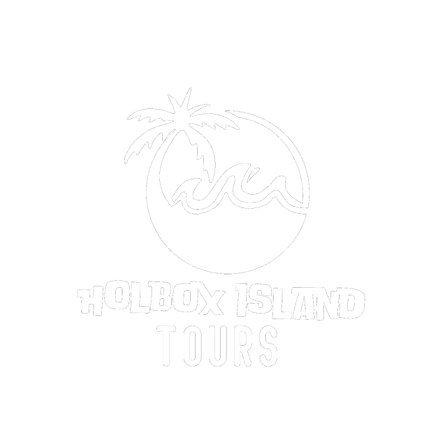 Holbox Island Tours