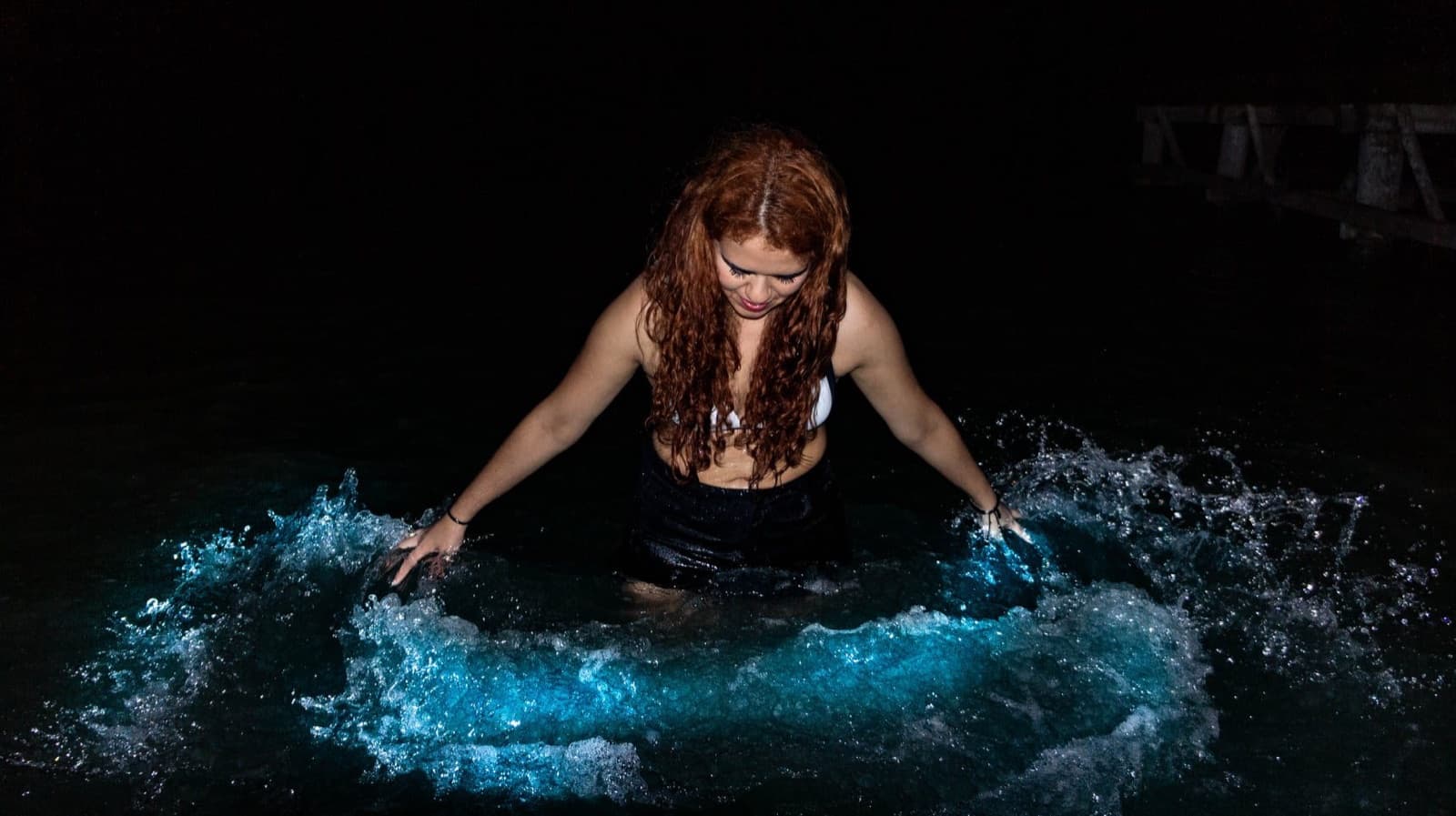 Classic Bioluminescence Tour