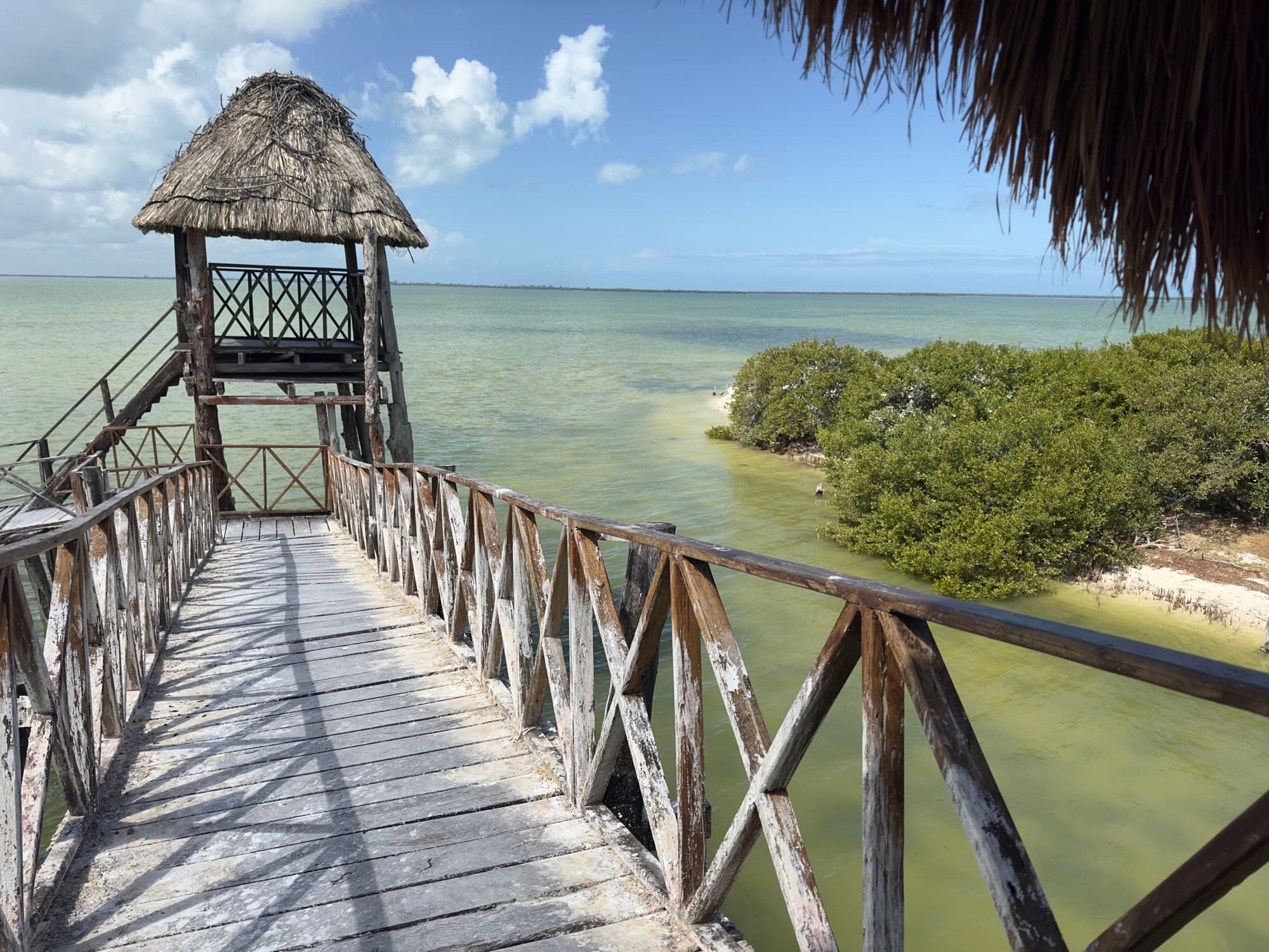 3 Islands Tour Holbox 1