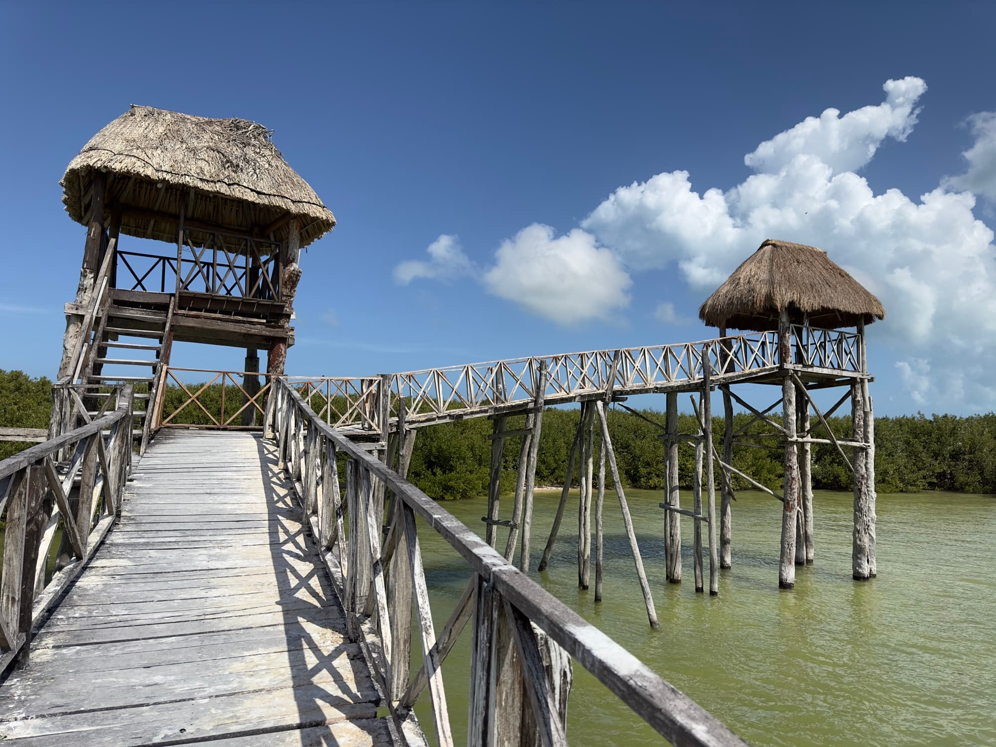 3 Islands Tour Holbox 2