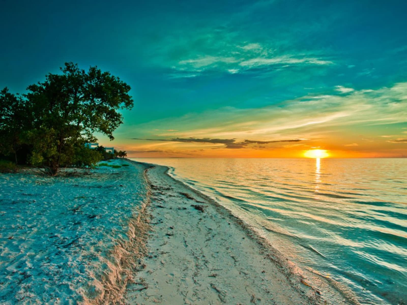 3 Islands Tour Holbox